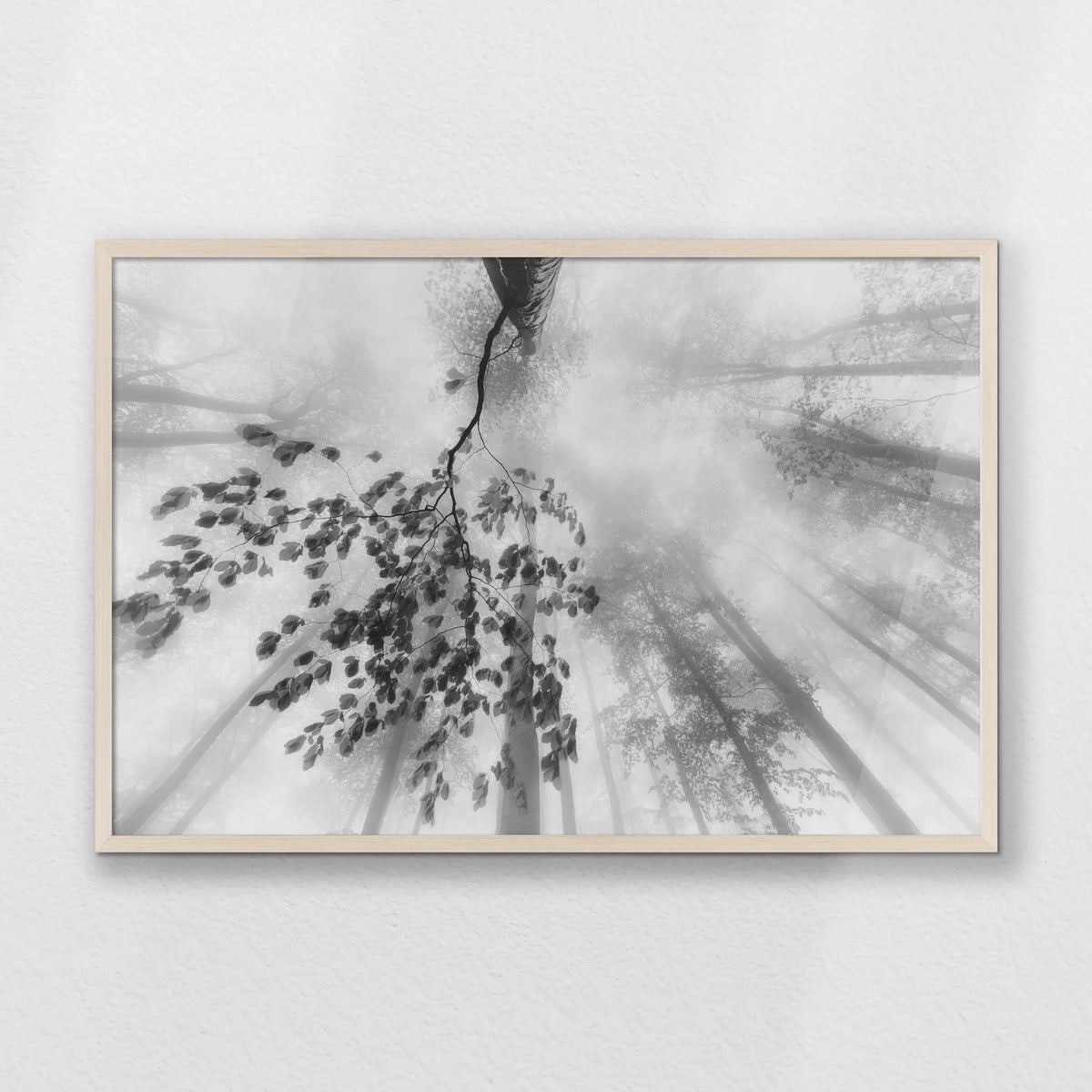 PN-093W062