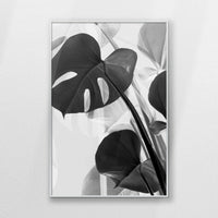 PS-062W093