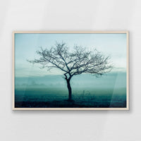 PN-093W062