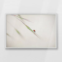 PW-093W062