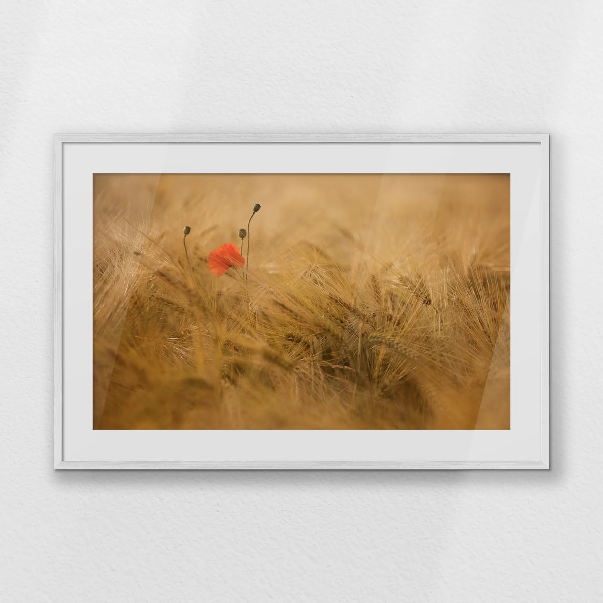 PWP100W070