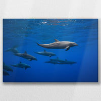 LW-060W040