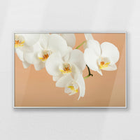 PS-093W062