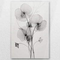 AC-050W075