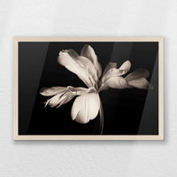 PN-060W040