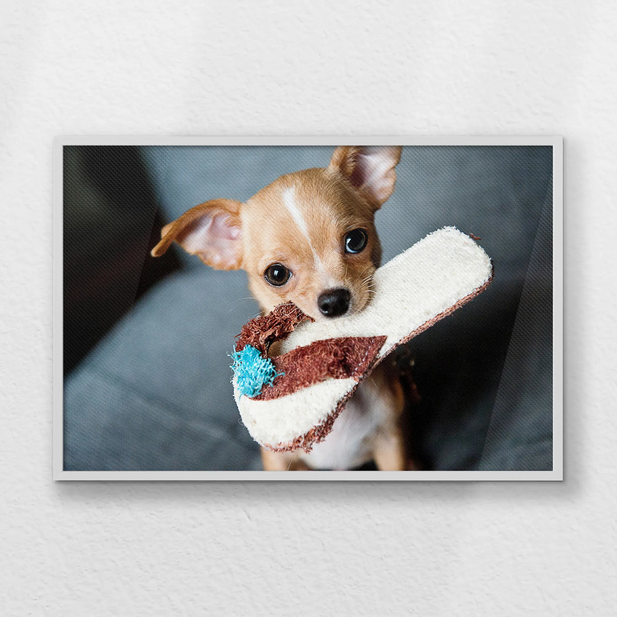 LWW100W070