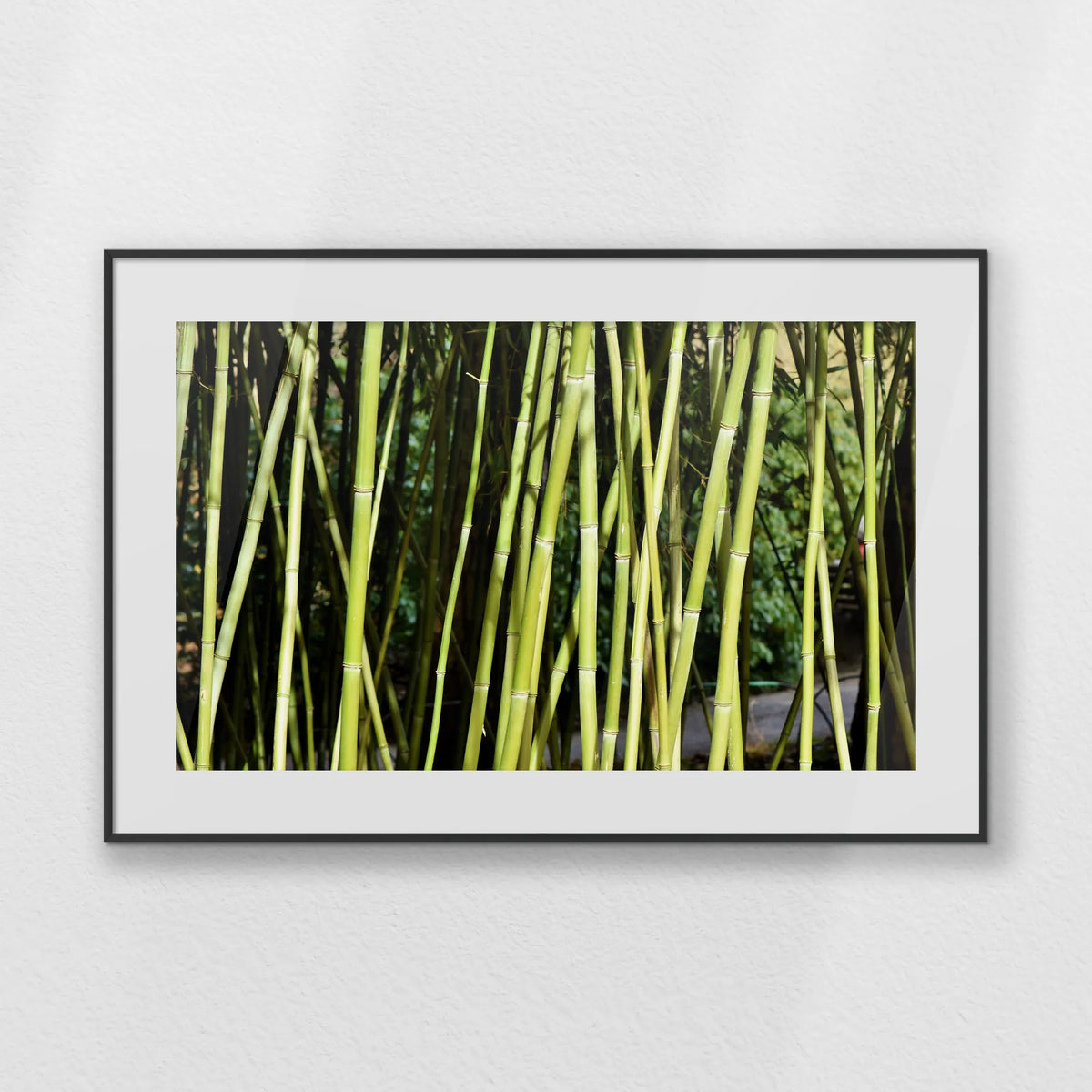 PBP093W062