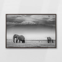 LWN120W080