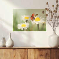 PO-045W030