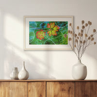PNP060W040
