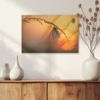 AC-030W020