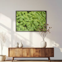 LWB120W080