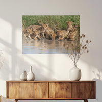 PO-075W050