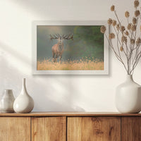 LWW030W020
