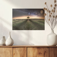 PO-045W030