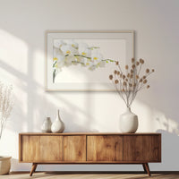 PNP093W062