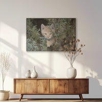 PB-120W080