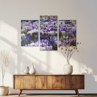AL-120T080