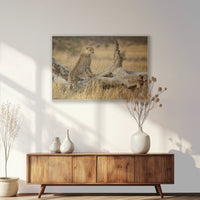 PS-120W080