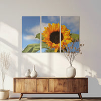 AL-150R100