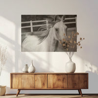 PO-090W060