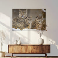 AC-120W080