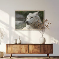 PN-100W070