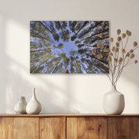 AC-060W040