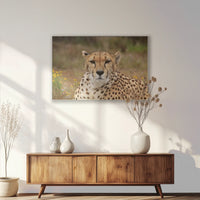 PS-120W080