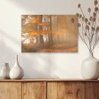 AC-045W030