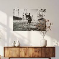 PO-075W050