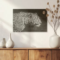 AL-030W020