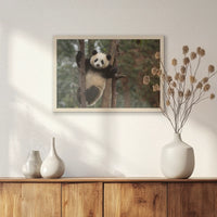PN-060W040