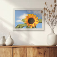 LWW030W020