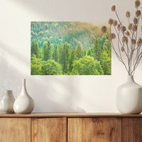 PO-045W030