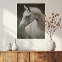 PO-040W050