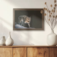 LWN030W020
