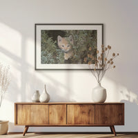 PKP093W062
