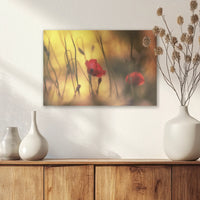 AC-045W030