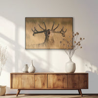 PB-093W062