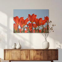 AL-075W050
