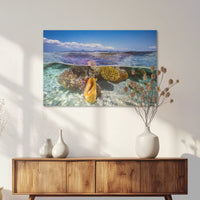 AC-075W050