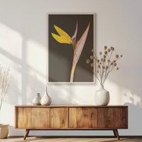 PN-062W093