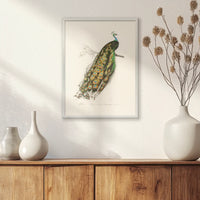 PS-030W040