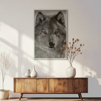 LWW080W120