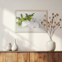 PN-060W040