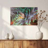 PO-060W040