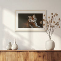 PNP060W040
