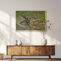 PN-093W062