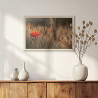 PN-060W040